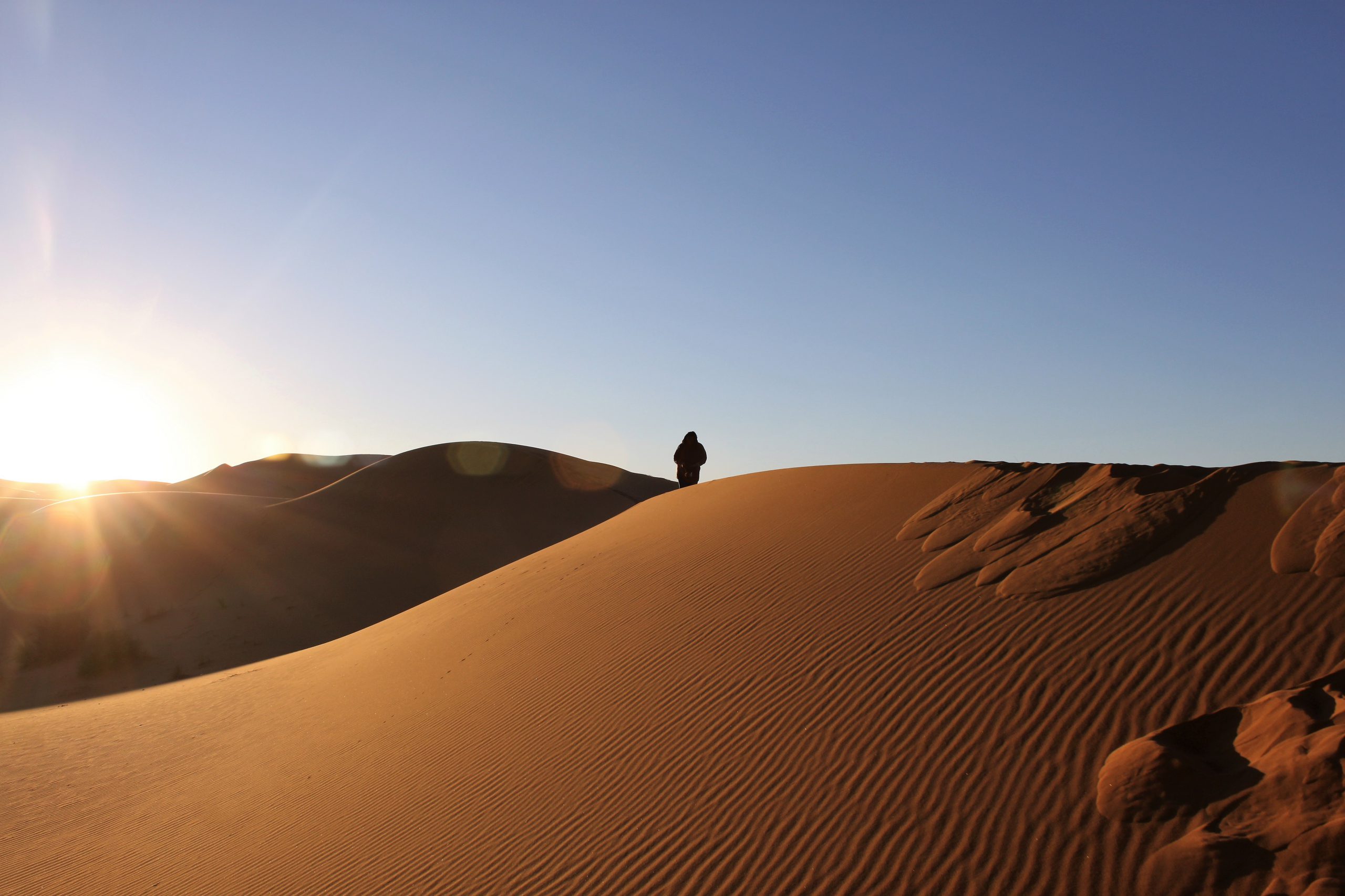 A person standing on top of a sand dune.