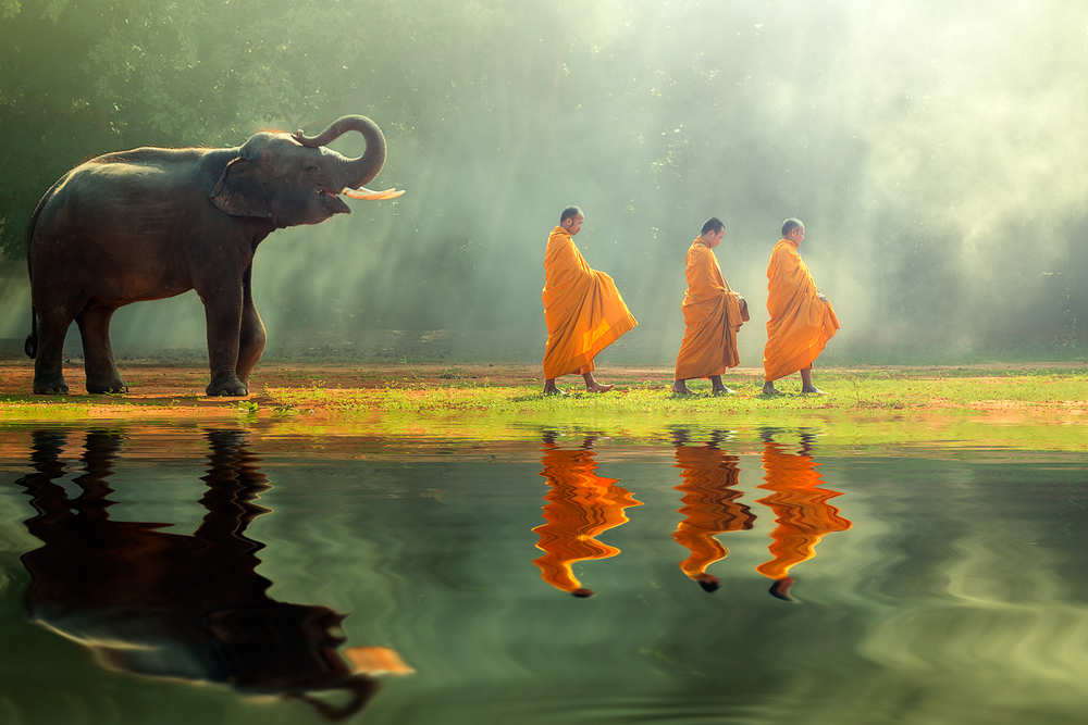 Three monks walking next to an elephant in a pond.