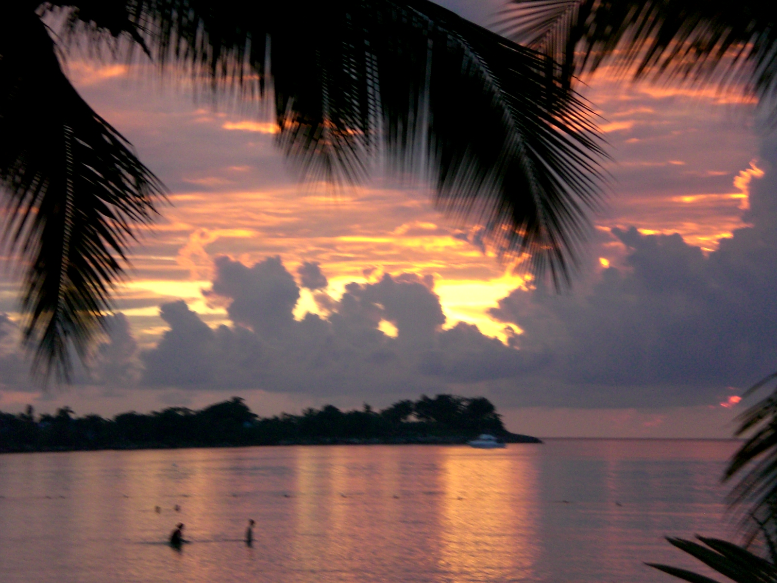 A sunset over the ocean with palm trees in front of it.