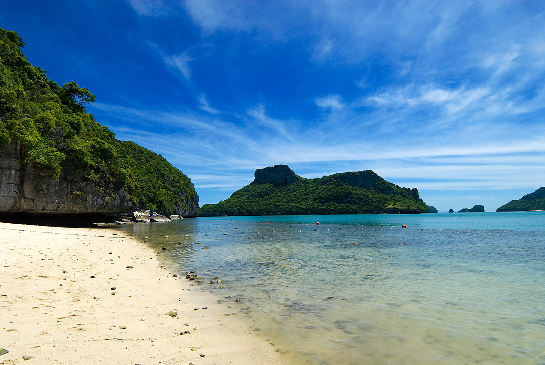 A beach with some trees and mountains in the background