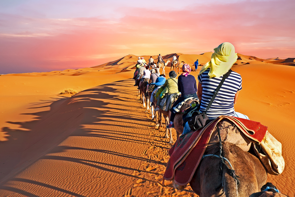 A group of people riding on the backs of horses.