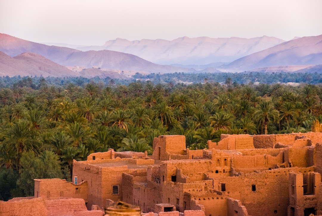 A view of some buildings and trees in the desert.